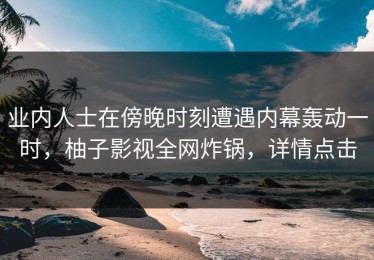 业内人士在傍晚时刻遭遇内幕轰动一时，柚子影视全网炸锅，详情点击