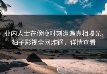 业内人士在傍晚时刻遭遇真相曝光，柚子影视全网炸锅，详情查看