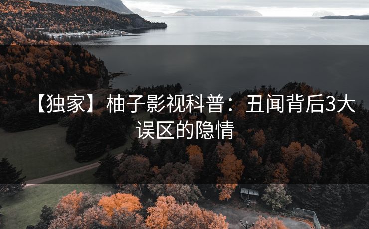 【独家】柚子影视科普：丑闻背后3大误区的隐情