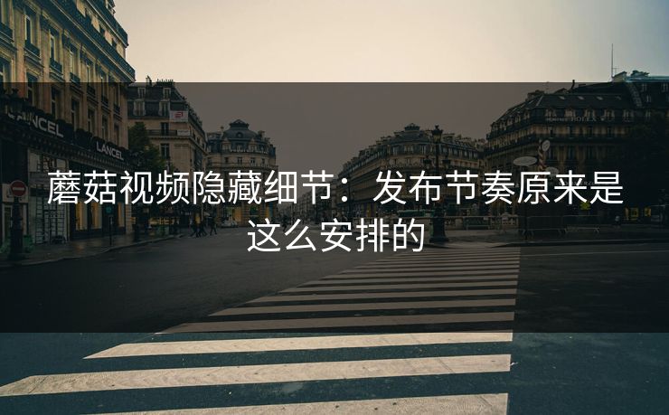 蘑菇视频隐藏细节：发布节奏原来是这么安排的