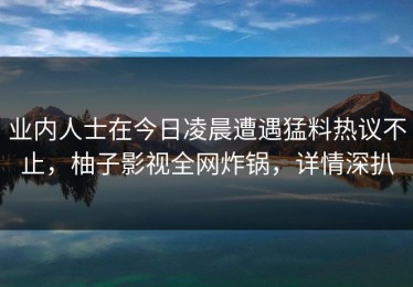 业内人士在今日凌晨遭遇猛料热议不止，柚子影视全网炸锅，详情深扒