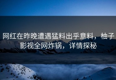 网红在昨晚遭遇猛料出乎意料，柚子影视全网炸锅，详情探秘